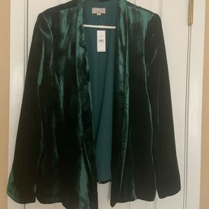 Beautiful Women’s Green Velvet Blazer